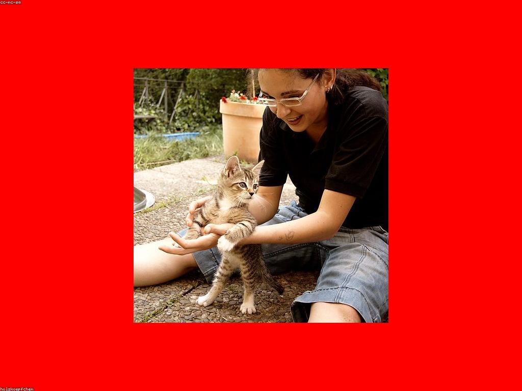 Diseno web profesional con enfoque en SEO Medellin